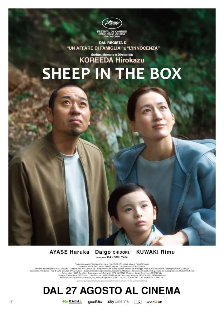 Sheep in the box